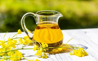 進口菜籽油報關(guān)的詳細(xì)流程，get！