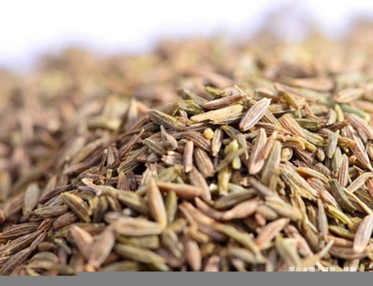 上海枯茗子進口清關流程：如何順利引入國內市場？