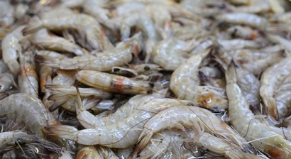 厄瓜多爾白蝦進口清關的流程往這里看