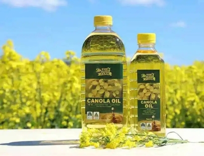 上海進口菜籽油清關公司哪家好？菜籽油報關公司