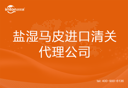鹽濕馬皮進(jìn)口清關(guān)代理公司