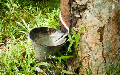 天然乳膠進口清關