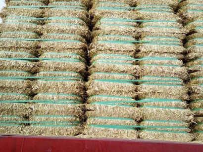 澳大利亞燕麥草進口報關資料_飼料清關注意事項