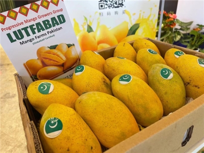 進口菲律賓芒果報關公司:芒果報關公司