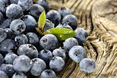 食品進(jìn)口報關(guān)單證，藍(lán)莓濃縮粉怎么進(jìn)口？