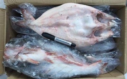 越南冷凍巴沙魚進口報關到青島代理水產(chǎn)品案例