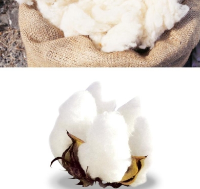 羊毛進口清關要多久_澳大利亞洗凈羊毛報關流程