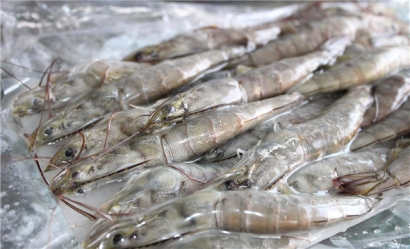 越南蝦進(jìn)口報(bào)關(guān)流程技巧講解，get到了嗎