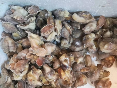 廣州南沙港進(jìn)口英國冷凍水產(chǎn)品報(bào)關(guān)代理北峨螺案例