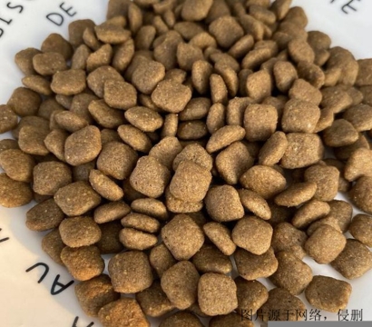 新西蘭寵物零食進口清關流程_上海寵物食品報關行