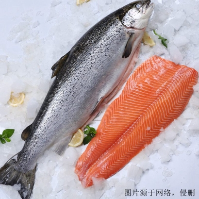 挪威三文魚(yú)進(jìn)口報(bào)關(guān)資料_鮭魚(yú)三文魚(yú)進(jìn)口關(guān)稅多少
