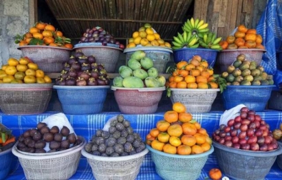 東南亞水果進(jìn)口報關(guān)代理是怎樣的呢？