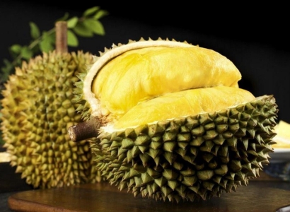 蘇州進口泰國榴蓮報關(guān)代理流程_新鮮水果快速通關(guān)