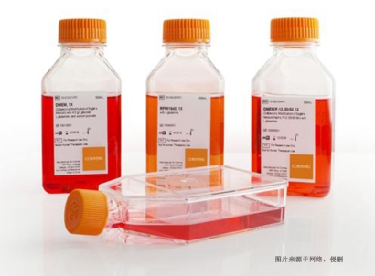 美國細胞培養(yǎng)試劑進口報關費用_生物試劑特殊物品申報