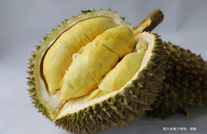 廣州進(jìn)口泰國榴蓮清關(guān)費(fèi)用_泰國榴蓮進(jìn)口關(guān)稅多少