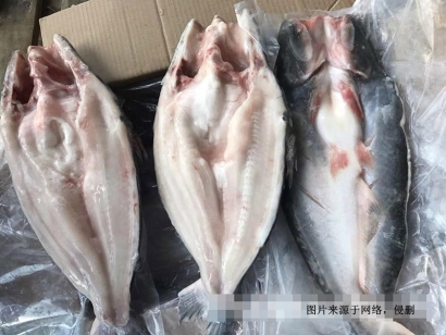 越南冷凍巴沙魚進口報關(guān)資料到深圳鹽田水產(chǎn)品案例