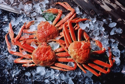 廣州機場進口斯里蘭卡螃蟹報關費用_水產品通關費