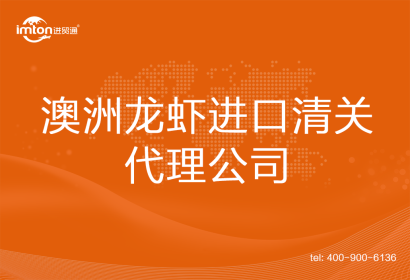 澳洲龍蝦進口清關代理公司