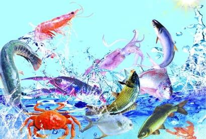 越南生鮮進口清關流程及費用詳解：有哪些細節需要注意？