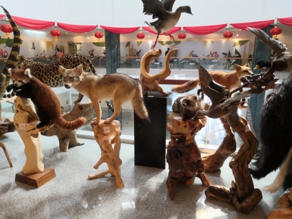 動物標本進口報關流程及注意事項