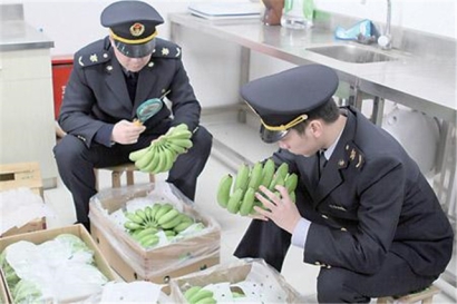 越南香蕉進口報關(guān)是怎么操作的?進口香蕉報清關(guān)這樣做