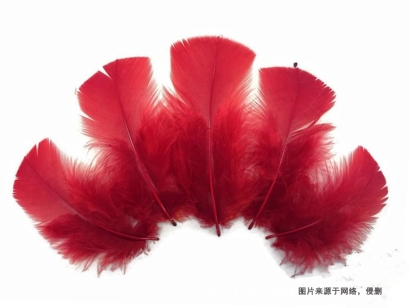 泰國進(jìn)口火雞毛報(bào)關(guān)流程_鴨毛、鴕鳥毛進(jìn)口關(guān)稅