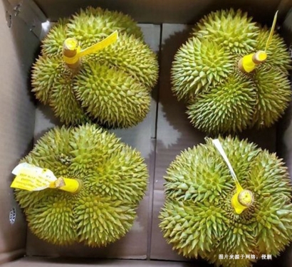 深圳機場進口泰國榴蓮報關(guān)資料-曼谷空運門到門