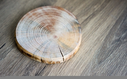 大連橡膠木進(jìn)口報(bào)關(guān)代理服務(wù)