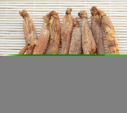 韓國高麗紅參進口報關資料_中藥材人參清關費用