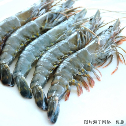 湛江進(jìn)口南美白對蝦清關(guān)流程_冷凍蝦進(jìn)口報關(guān)費用