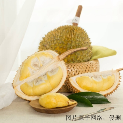 深圳進(jìn)口泰國榴蓮報關(guān)清關(guān)_泰國榴蓮海運進(jìn)口公司