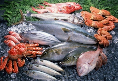 巴布亞新幾內(nèi)亞海鮮進(jìn)口報(bào)關(guān)流程_野生水產(chǎn)品通關(guān)