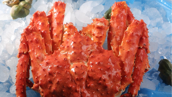 上海進(jìn)口挪威帝王蟹報關(guān)資料 上海進(jìn)口挪威帝王蟹報關(guān)資料