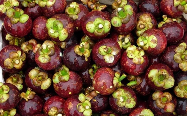 1628074925522747.jpg 洋山港進(jìn)口山竹清關(guān)公司