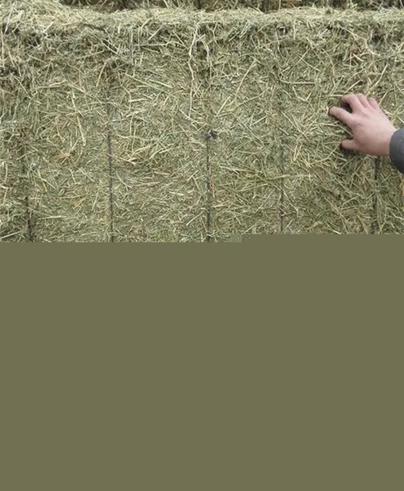 1652697458151839.jpg 苜蓿草進口報關代理公司_副本.jpg