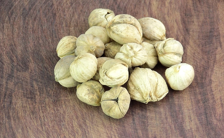 天津港進口豆蔻清關一站式代理服務 豆蔻進口報關_副本.jpg