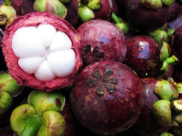 1628074967455682.jpg 洋山港進(jìn)口山竹清關(guān)公司_副本.jpg