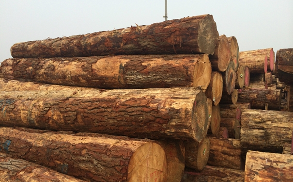 1628675477266821.jpg 原木進口清關上海代理公司