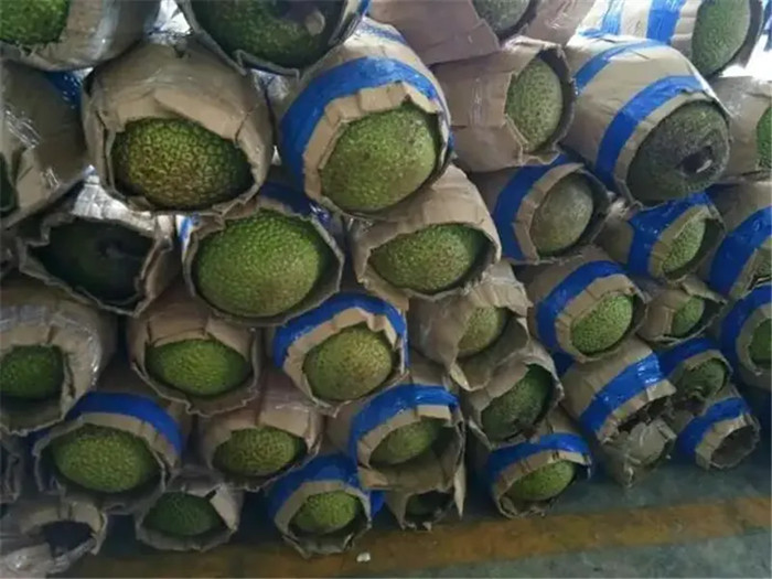 1669201036719012.jpg 進(jìn)口越南菠蘿蜜空運(yùn)報(bào)關(guān).jpg